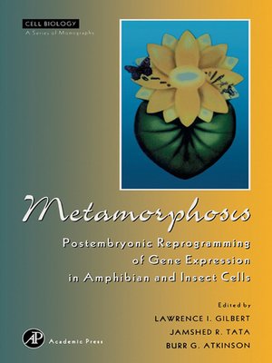 cover image of Metamorphosis